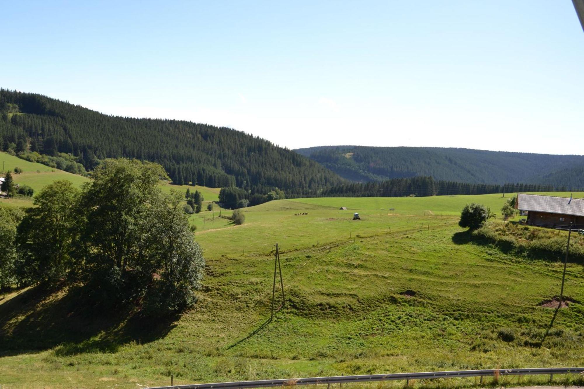 Ferienwohnung Beim Pauli Titisee-Neustadt Εξωτερικό φωτογραφία