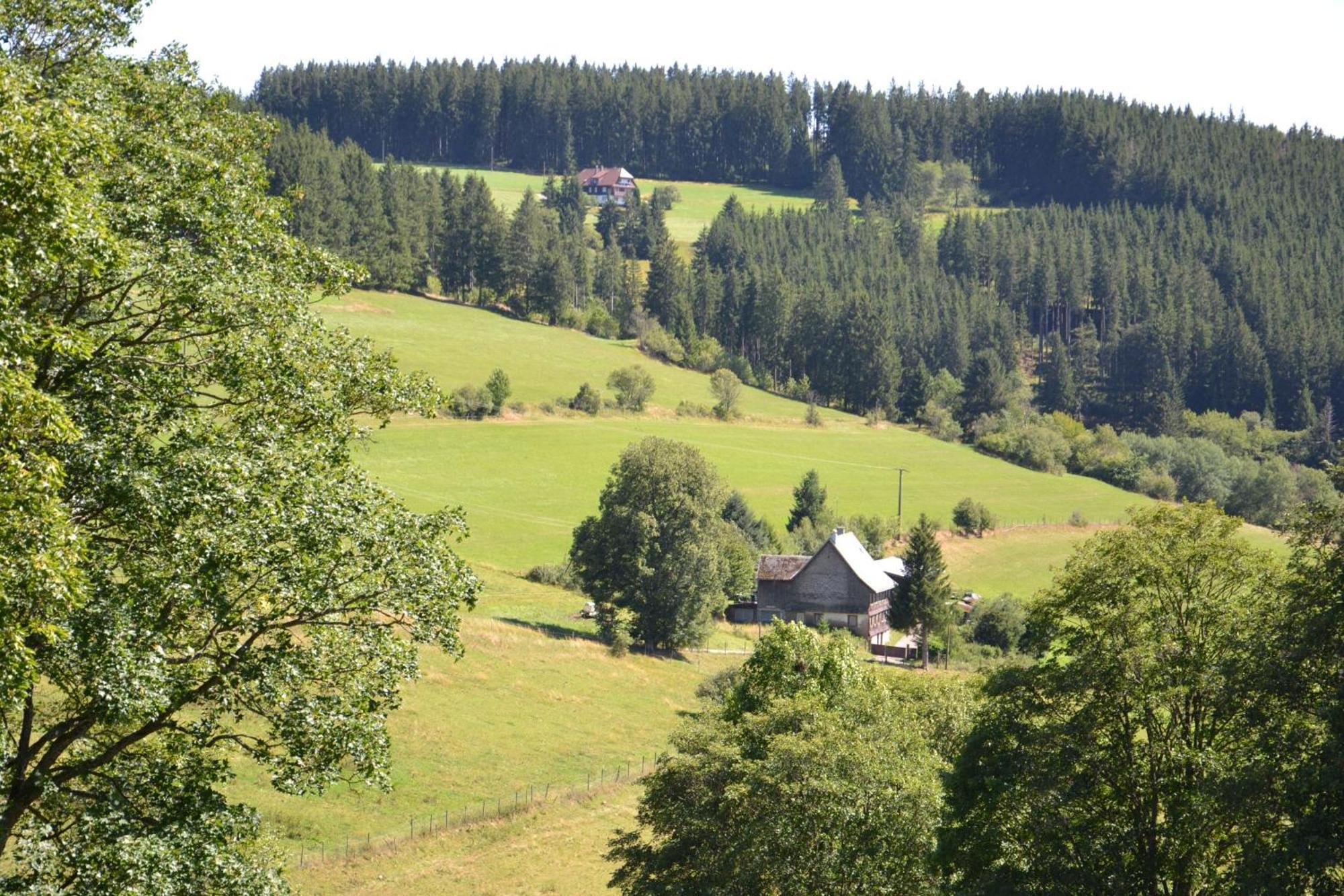 Ferienwohnung Beim Pauli Titisee-Neustadt Εξωτερικό φωτογραφία