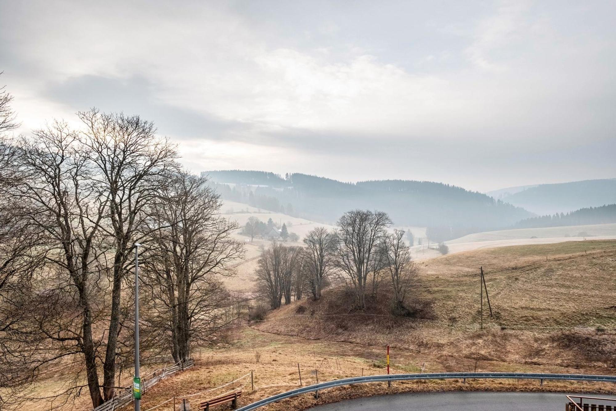 Ferienwohnung Beim Pauli Titisee-Neustadt Εξωτερικό φωτογραφία