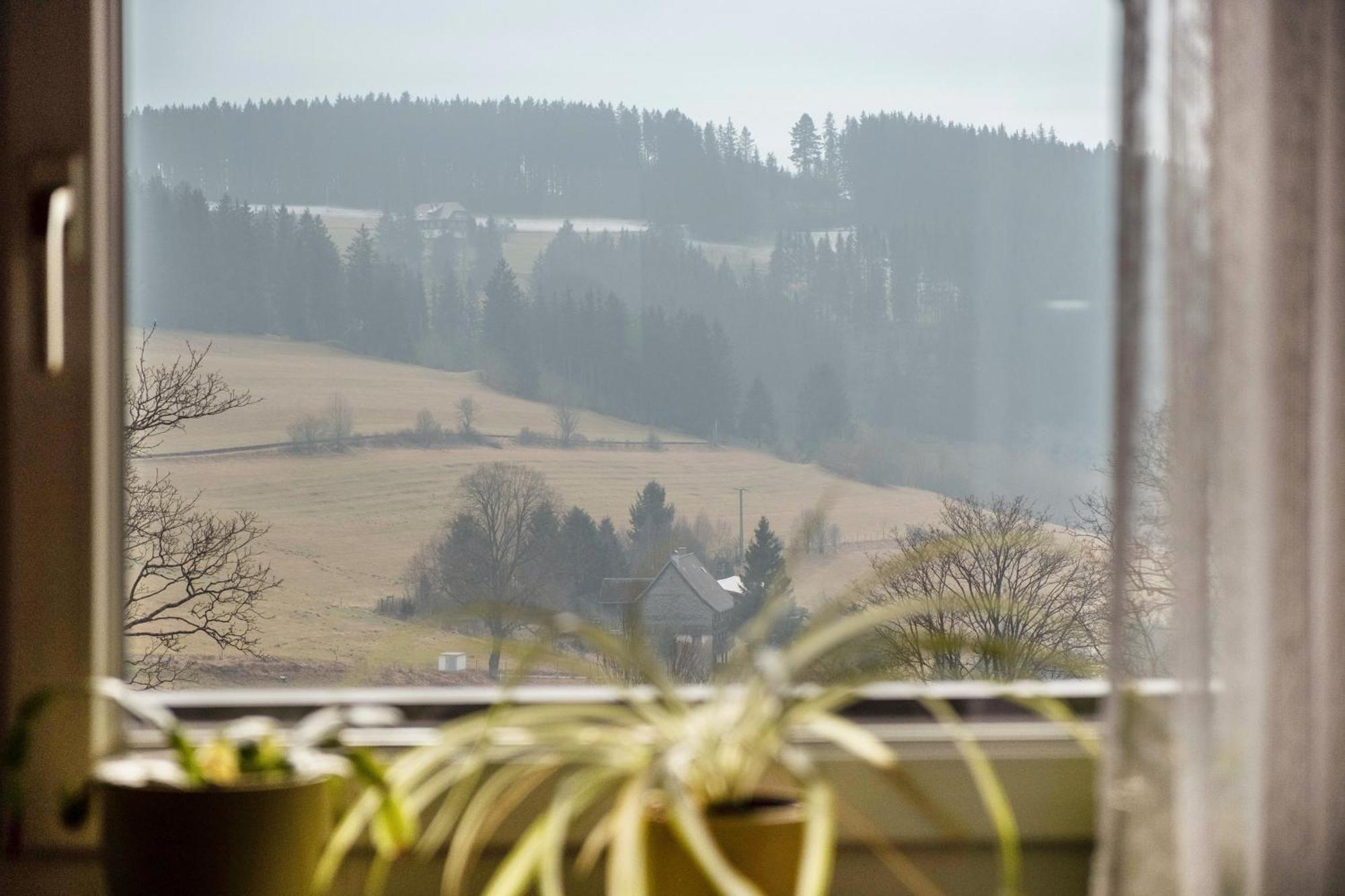Ferienwohnung Beim Pauli Titisee-Neustadt Εξωτερικό φωτογραφία